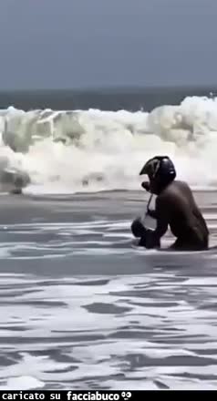 Gif Animata