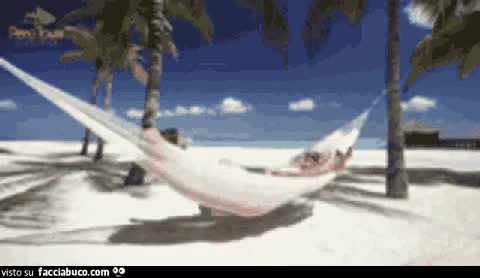 gif animata