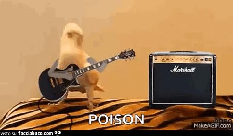 gif animata