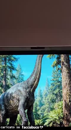 Gif Animata