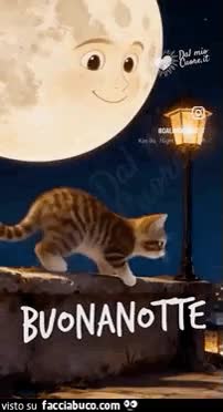 Gif Animata