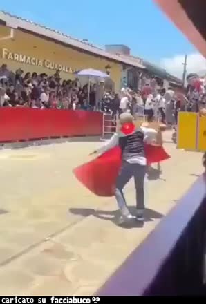 Gif Animata