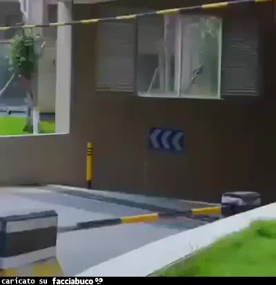 gif animata