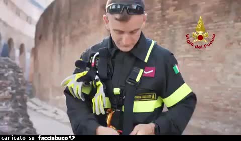 Gif Animata