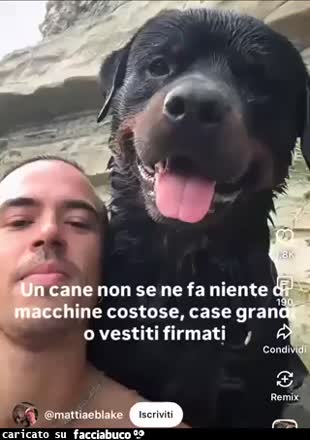 Gif Animata