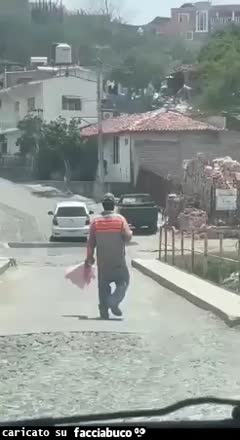 Gif Animata