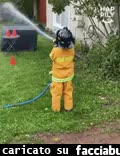 gif animata