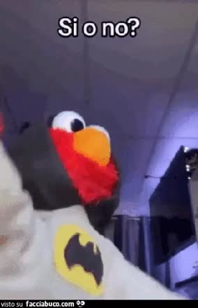 gif animata