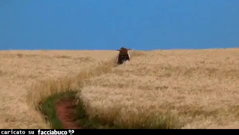 Sogni (1990) Akira Kurosawa / Vincent Van Gogh