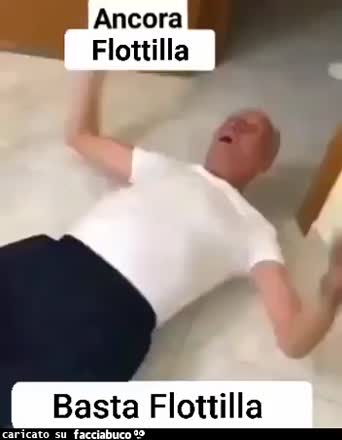 Sticazzi la Flottilla