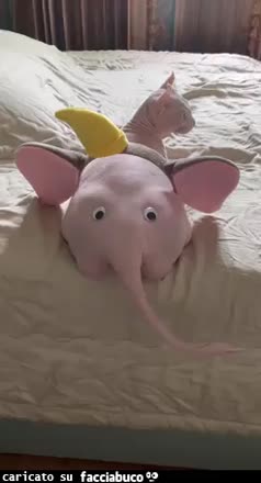 gif animata