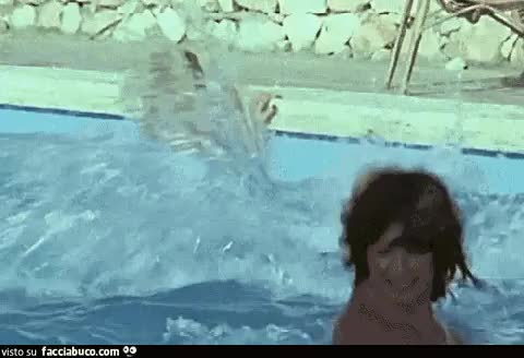 Gif Animata
