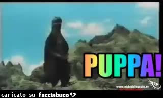 gif animata