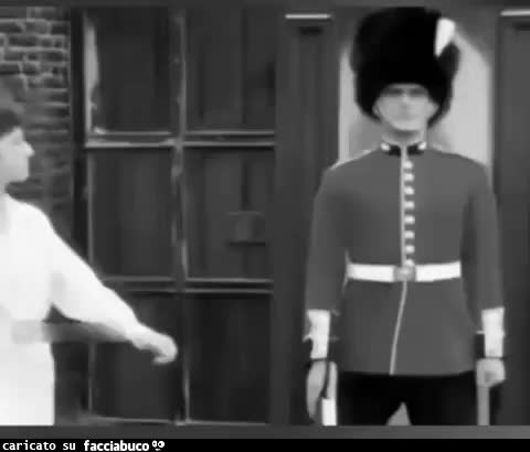 Gif Animata