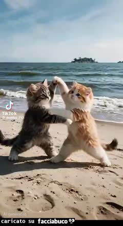 Gif Animata