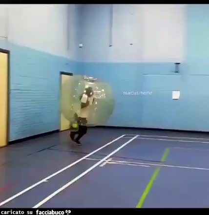 Gif Animata