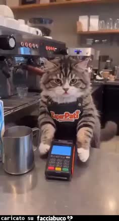 Gif Animata