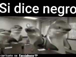 gif animata