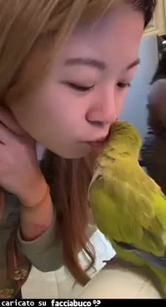 Gif Animata