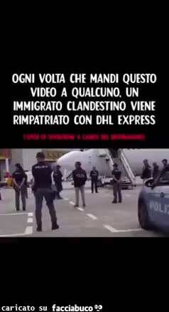Remigazione express