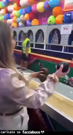 Gif Animata