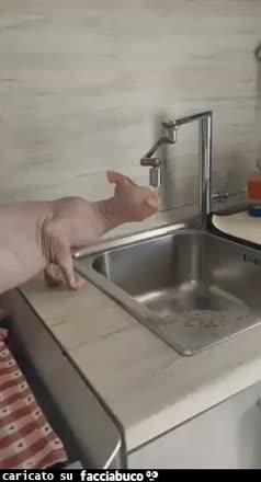 Gif Animata