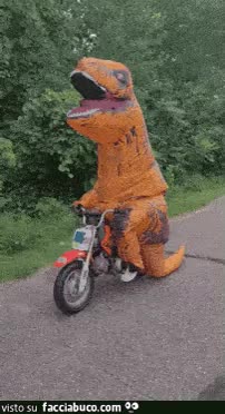 gif animata