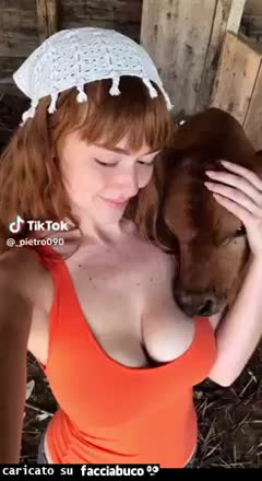 Gif Animata