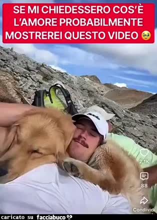 Gif Animata