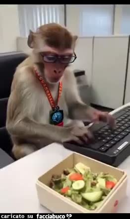gif animata
