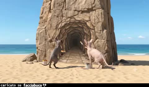 Gif Animata