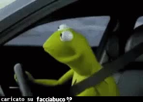 gif animata