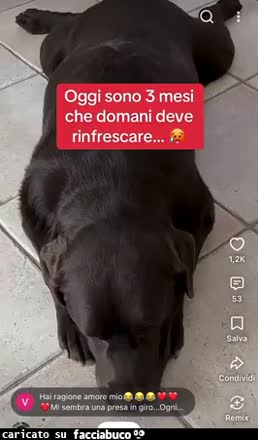 Gif Animata