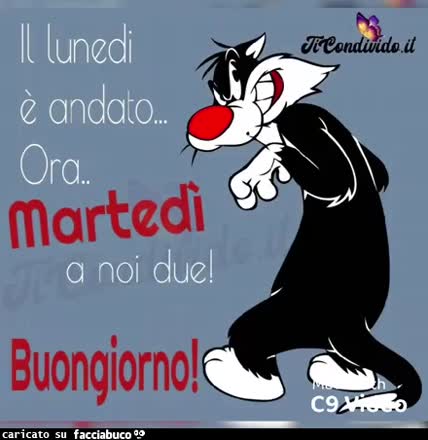Gif Animata