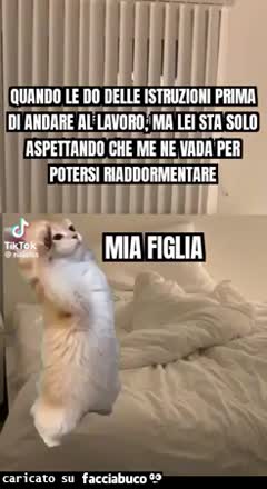 Quando le do delle istruzioni prima di andare al lavoro, ma lei sta solo aspettando che me ne vada per potersi riaddormentare mia figlia