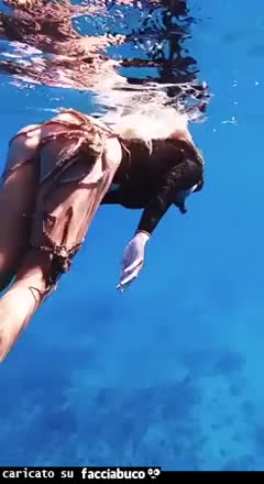 Gif Animata