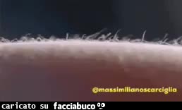 gif animata