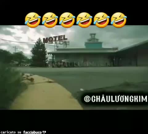 Gif Animata