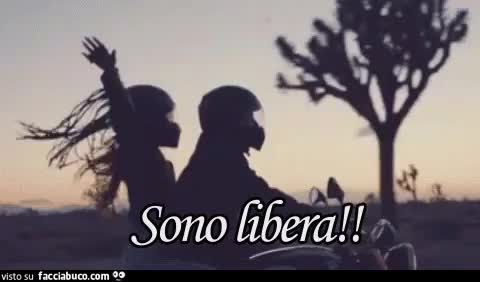 gif animata