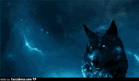 gif animata