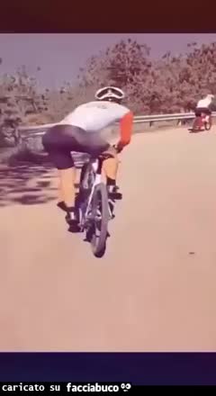 Gif Animata