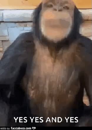 gif animata