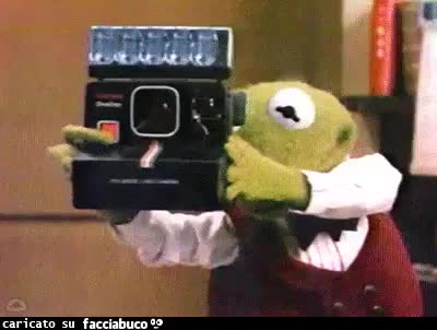 gif animata