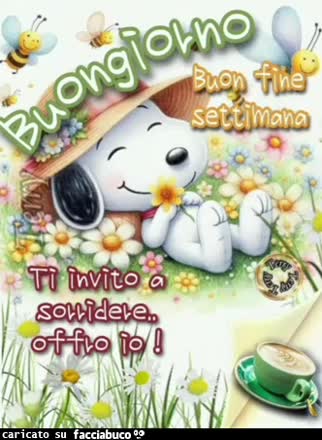 Gif Animata