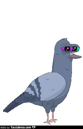 gif animata