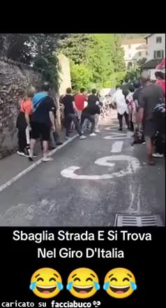 Gif Animata