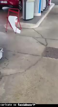 Gif Animata