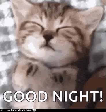gif animata