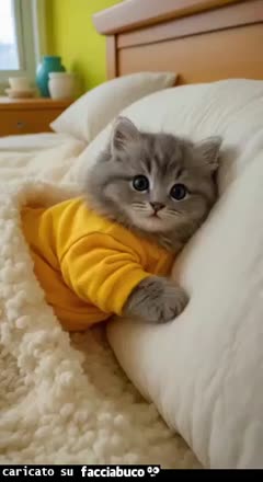 Gif Animata