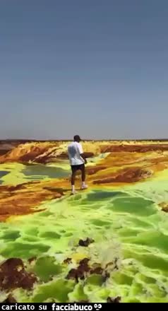 Gif Animata